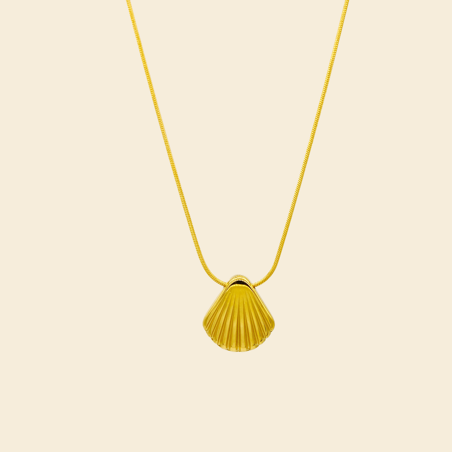 Shell Necklace