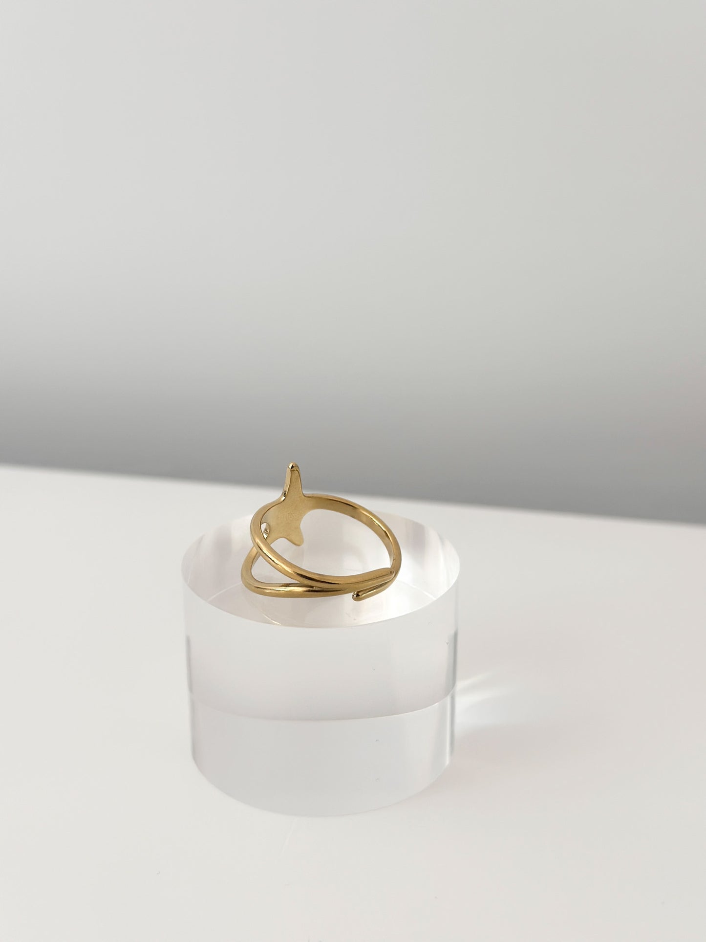 Star Path Ring