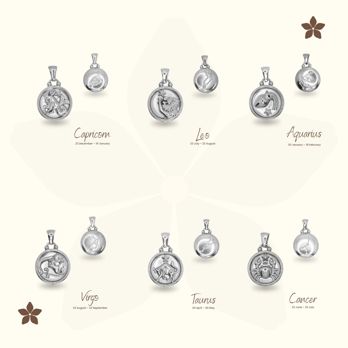 Classic Zodiac Signet Coin Necklace - Silver