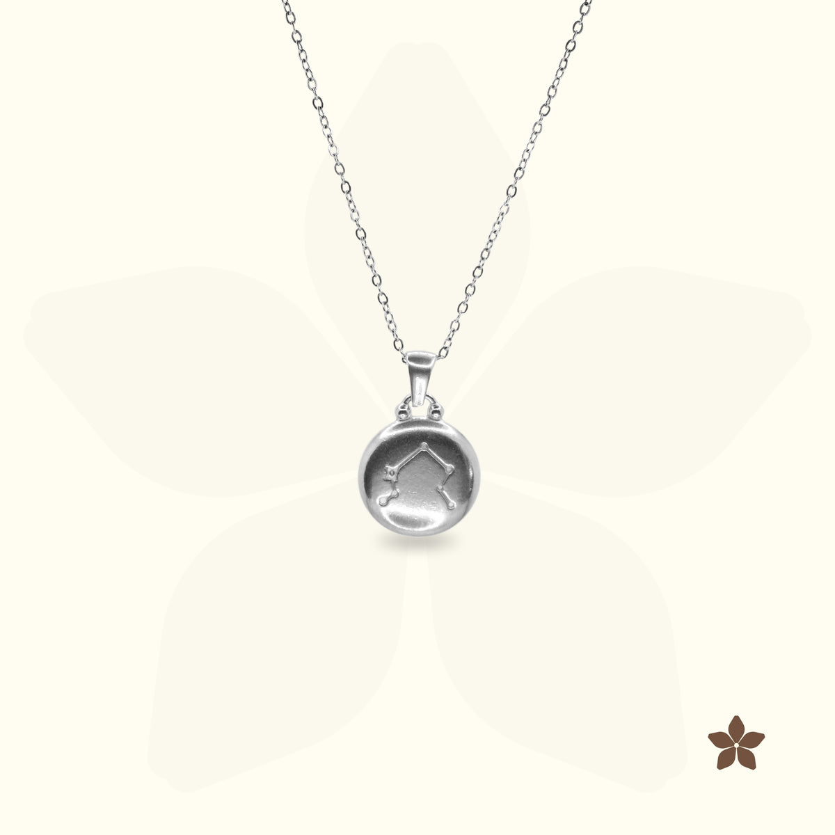 Classic Zodiac Signet Coin Necklace - Silver