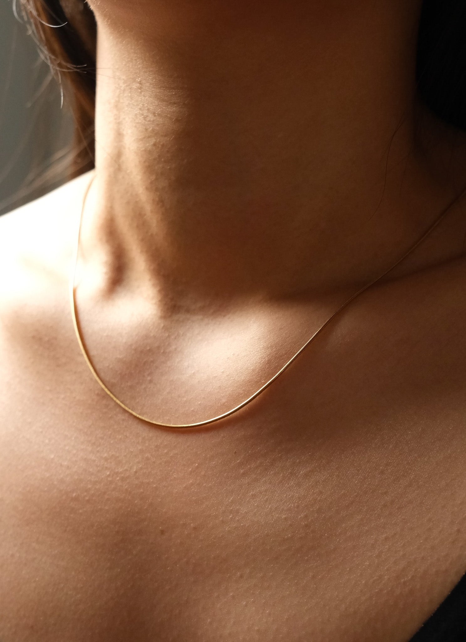 Snake Chain Necklace