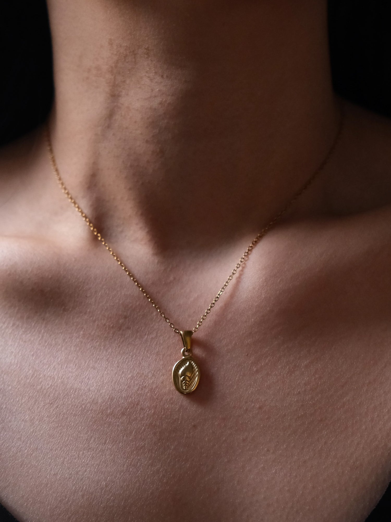 Iconic Medallion Pendant Necklace