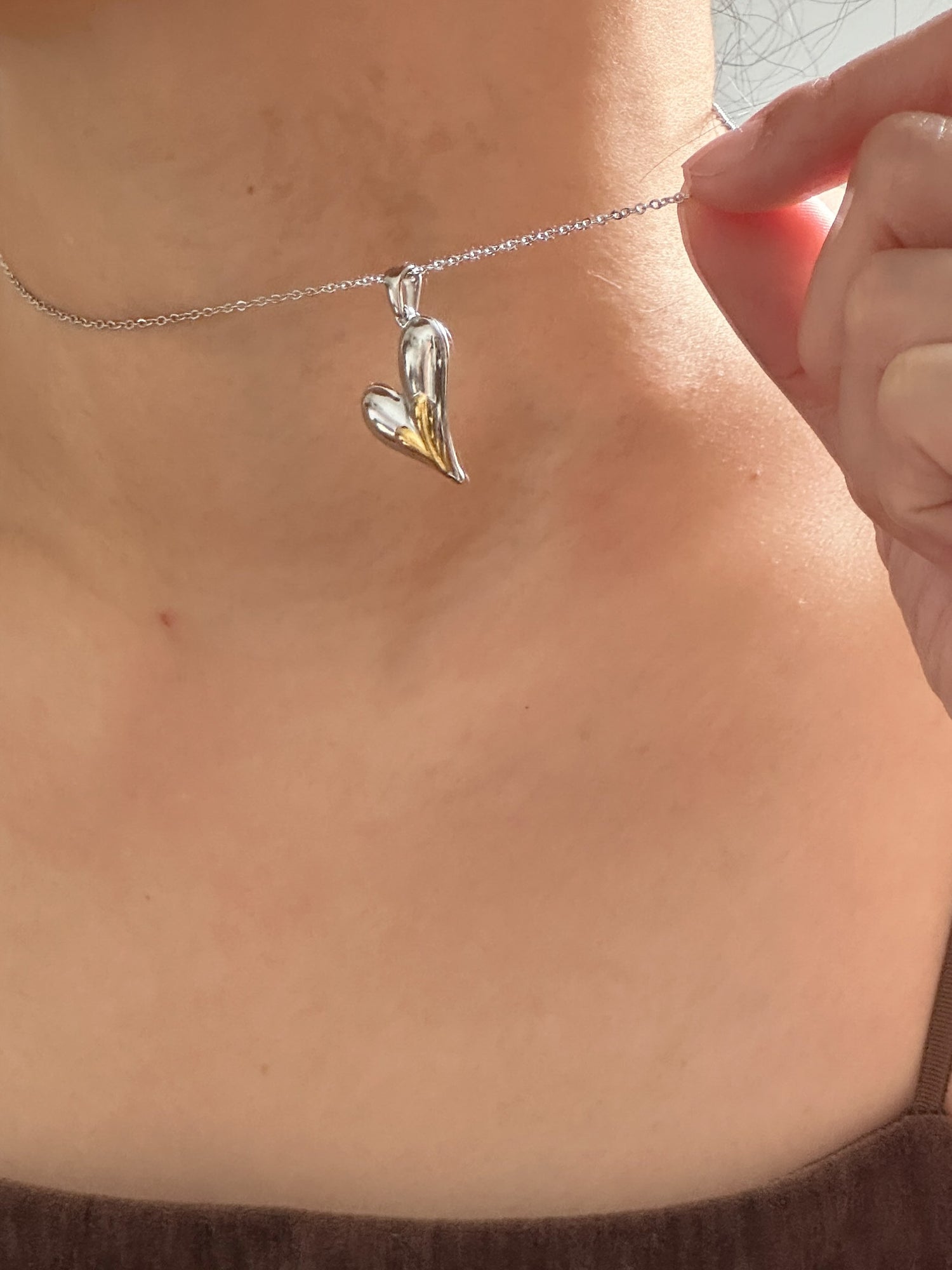 Amour Bi-Color Heart Necklace