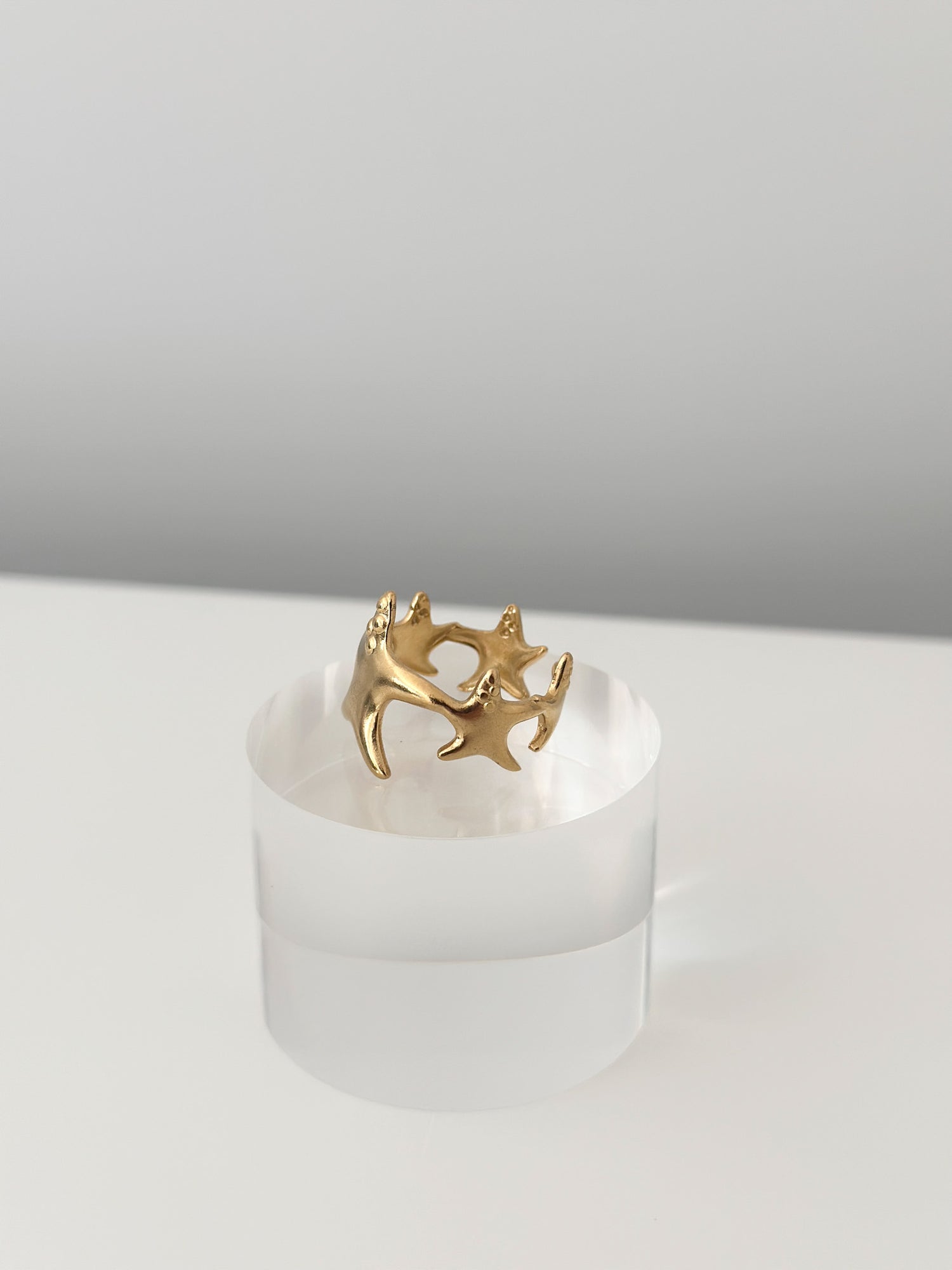 Coral Whisper Ring