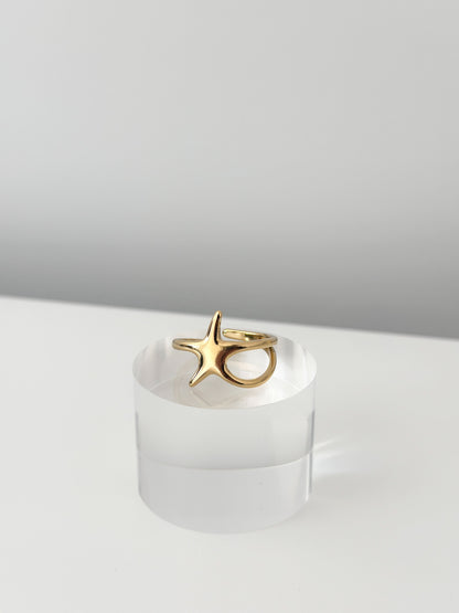 Star Path Ring