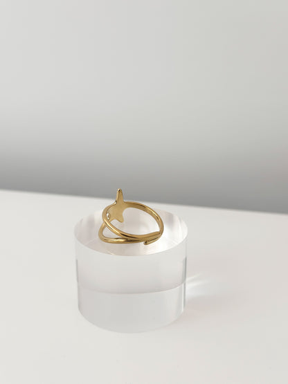 Star Path Ring