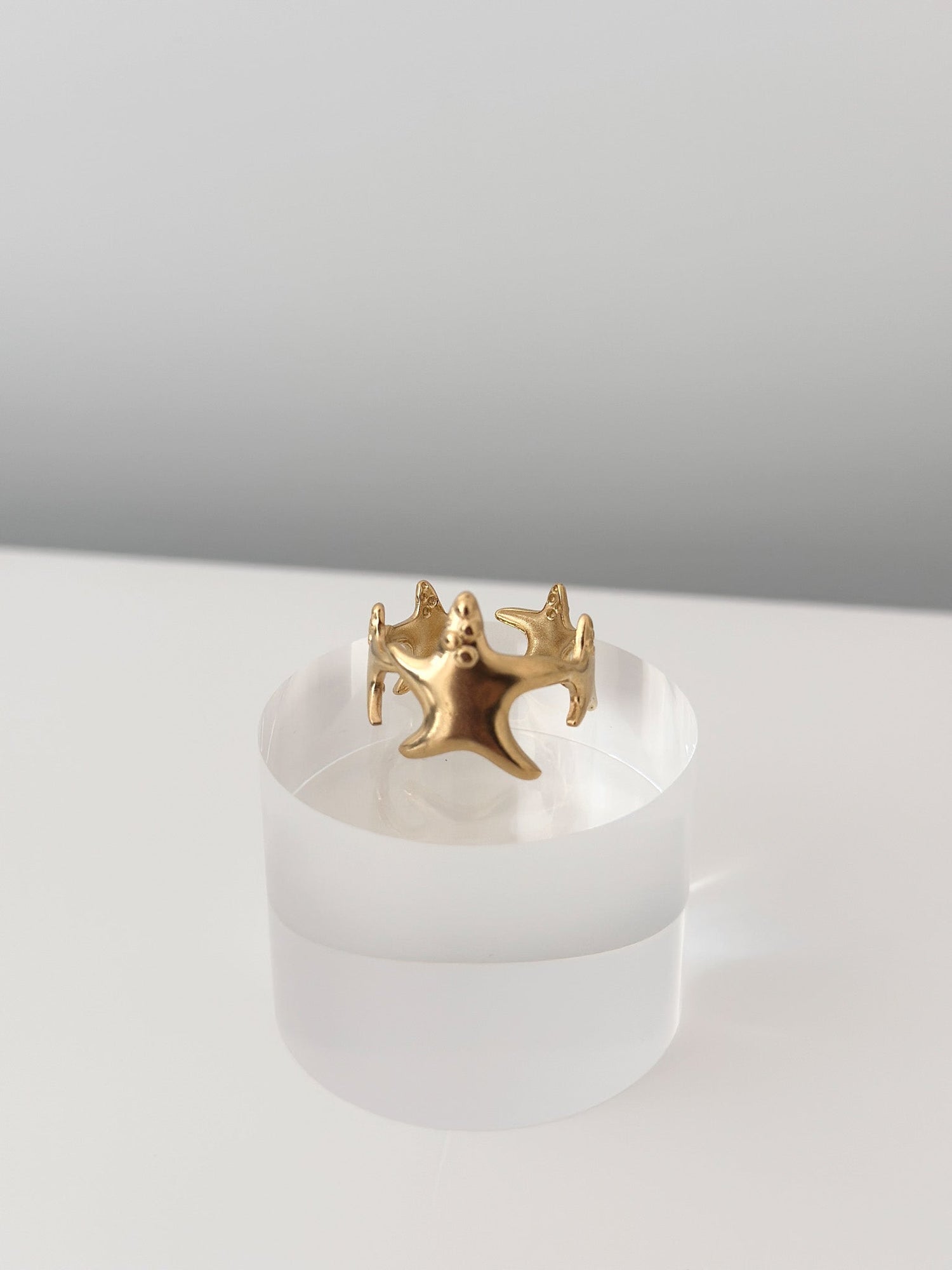 Coral Whisper Ring - Jas | Gold Ring - Jas | Perfect On You