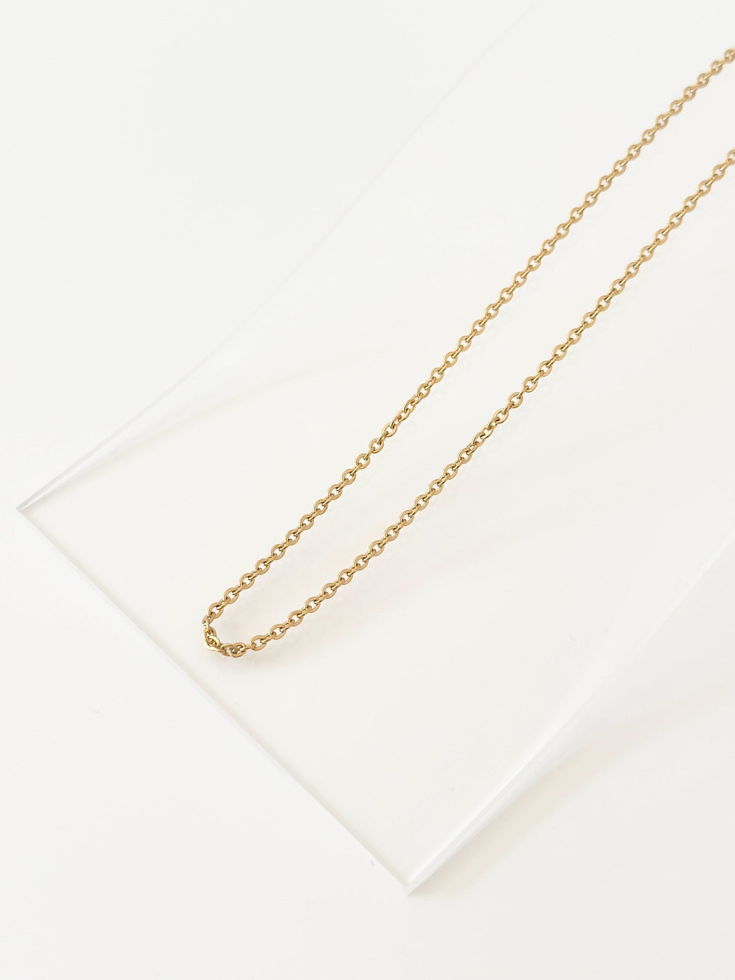 Dainty chain Necklace - JAS | Gold necklace - Jas | Perfect On You
