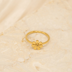 Gabriela - JAS - Jas | Perfect On You