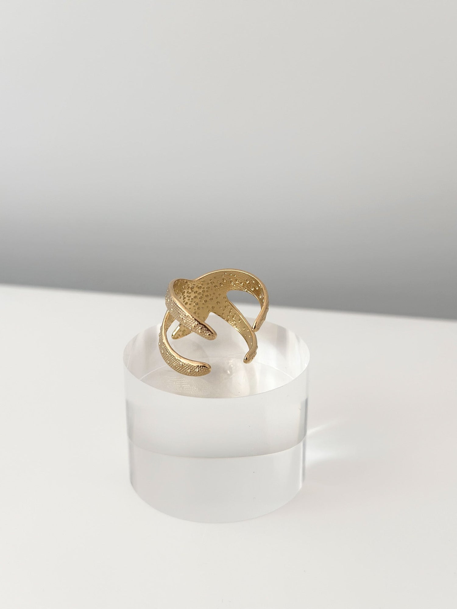 Ocean Embrace Ring - Jas | Gold & silver ring - Jas | Perfect On You